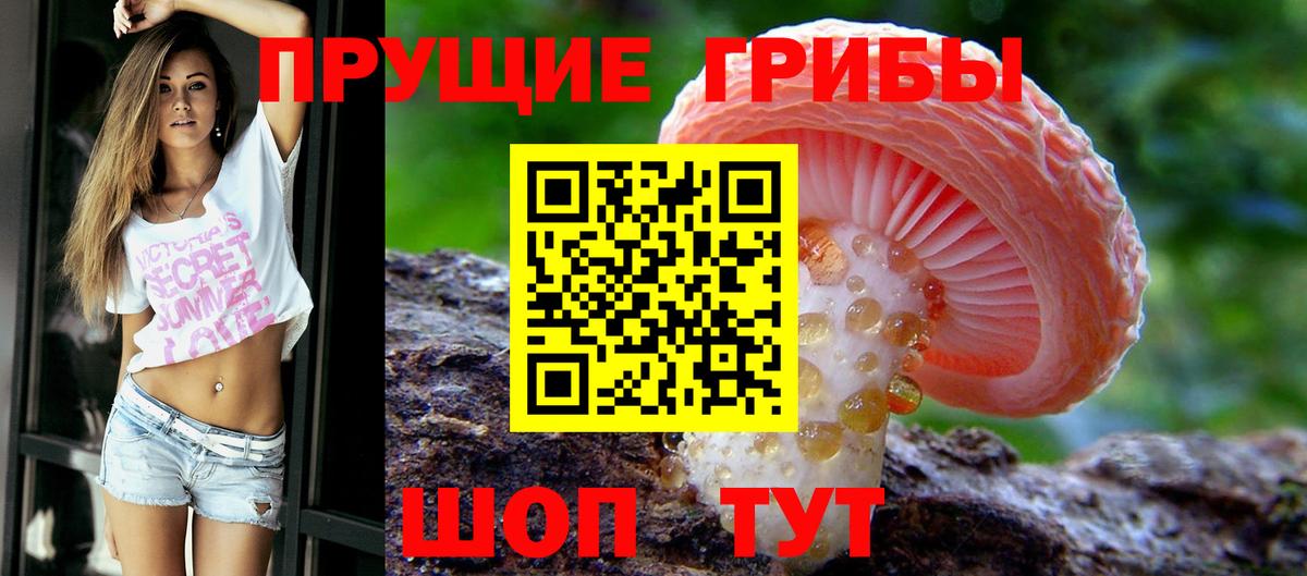 Черногорск  Галлюциногенные грибы MAGIC MUSHROOMS  купить наркотики цена  Галлюциногенные грибы мицелий  Вход с VPN 
