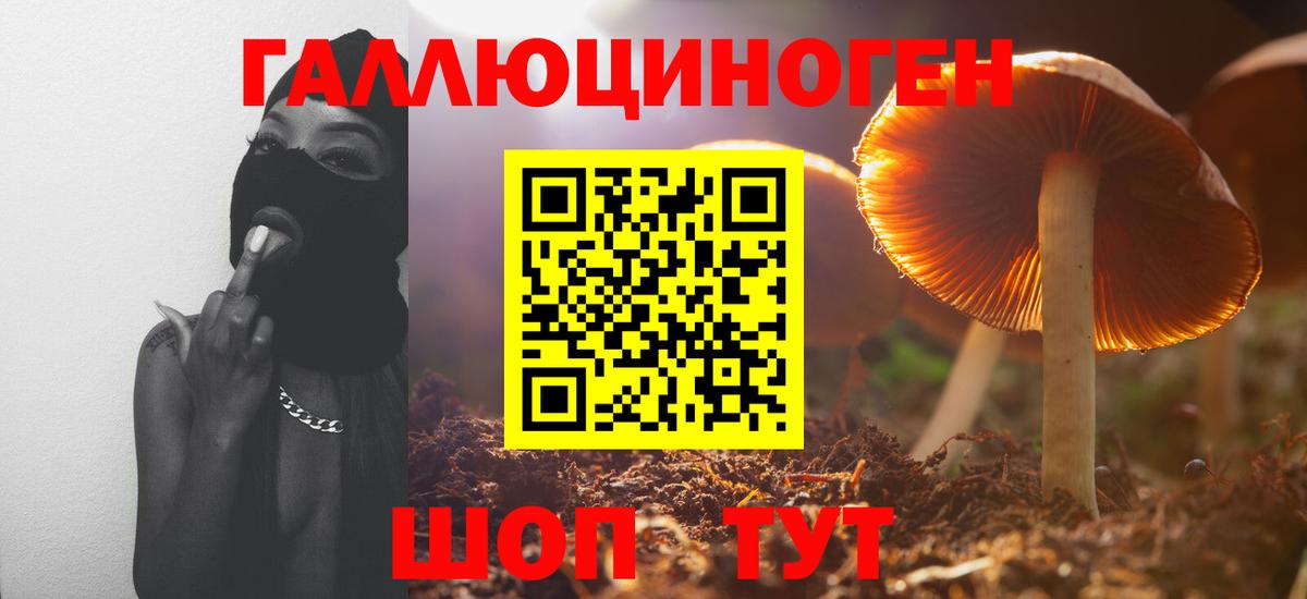 Псилоцибиновые грибы MAGIC MUSHROOMS Черногорск